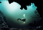amazon-12th-principle-dive-deep